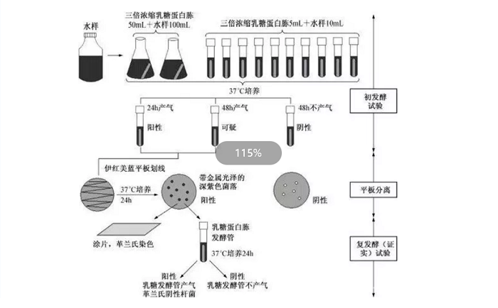 濾膜法測大腸菌群